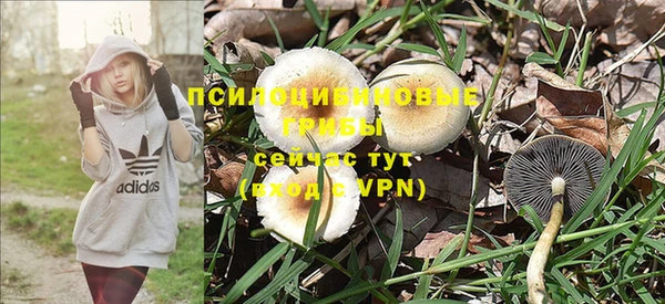 эйфоретик Баксан
