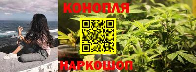 твердый Заводоуковск