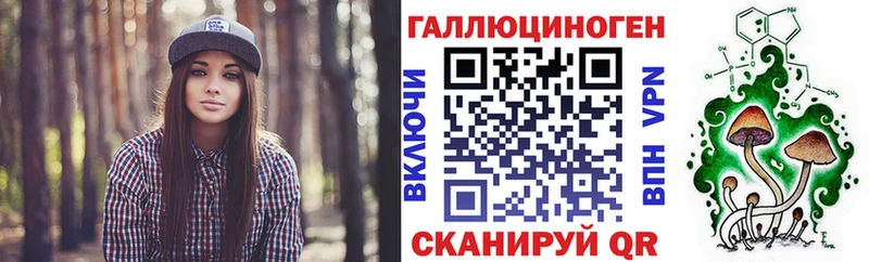 гидра вход Губаха Псилоцибиновые грибы Psilocybine cubensis
