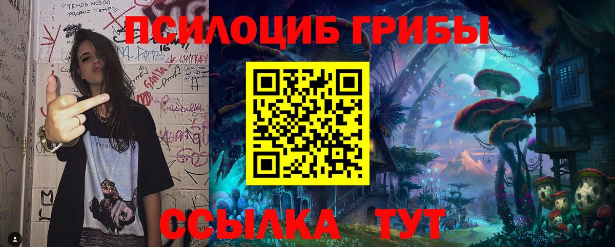 Галлюциногенные грибы прущие грибы Губаха