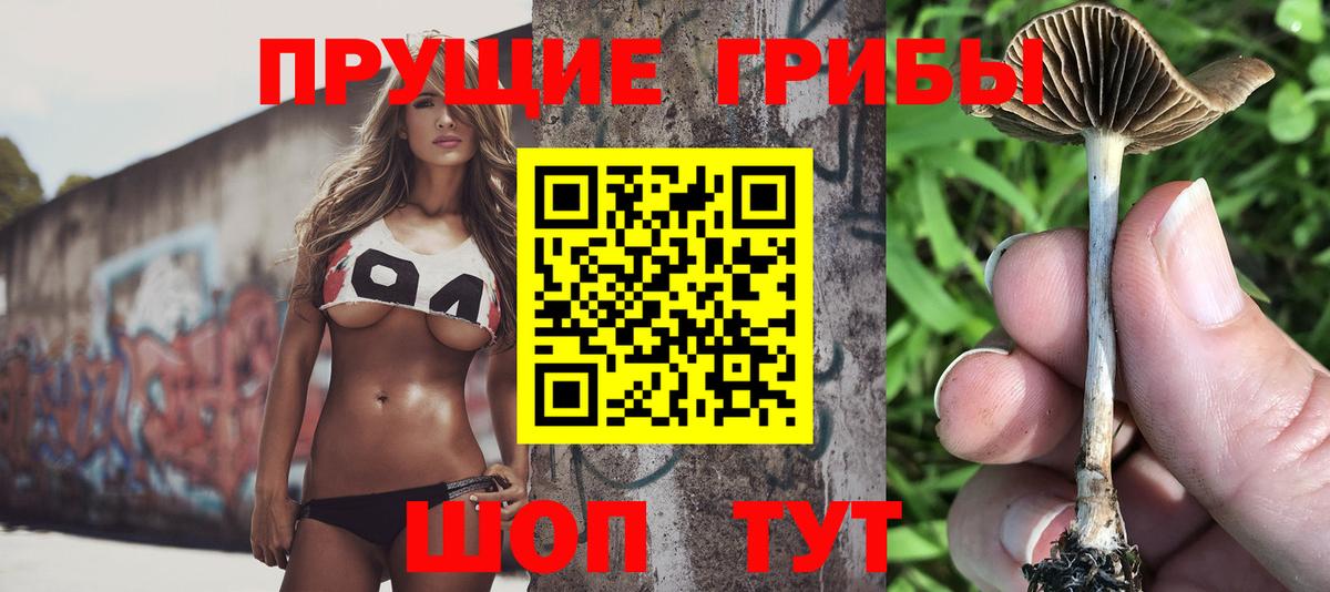 Псилоцибиновые грибы ЛСД  Вход с VPN  Псилоцибиновые грибы GOLDEN TEACHER  Губаха 