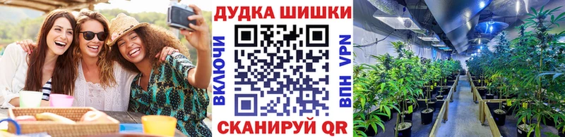 где купить Губаха Конопля семена